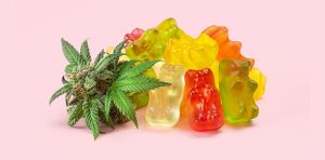 mcelfresh-blog-California-THC-Limits-in-Edibles